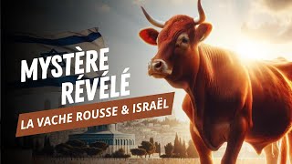 LE SACRIFICE DE LA VACHE ROUSSE EST PROCHE [upl. by Saretta]