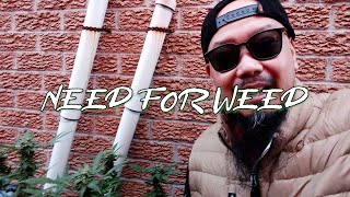 Need For Weed  Episode 11 [upl. by Iorio]