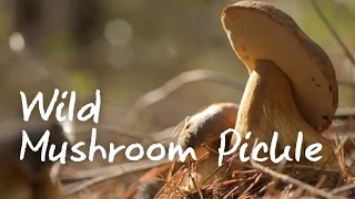 Pickled Wild Mushrooms  DIY [upl. by Mini539]