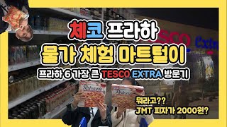 🇨🇿프라하오답노트 EP07 체코 물가 체험하러 TESCO 가봤습니다  VLOG [upl. by Nhguaval230]