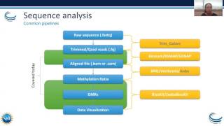 Webinar Epigenetics Part I – Bisulfite Sequence Analysis and Adenosine to Inosine Modifications [upl. by Hamas]