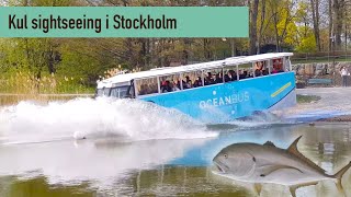 Ocean Bus  SeaFun kryssar i Stockholm med en buss [upl. by Devad748]