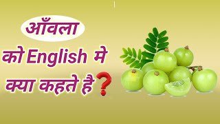 आँवला को इंग्लिश में क्या कहते हैं   Amla ko English mein kya Kahate Hain  amlainenglish amla [upl. by Inilahs971]