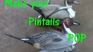 How to repaint old Pintail decoys [upl. by Nalon]