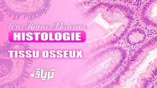 HISTOLOGIE 1ère année  TMC CAMP  TISSU OSSEUX  By Reem [upl. by Rolanda]