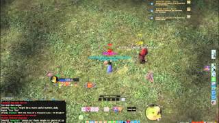 Lotro Warden PvP U152  Yellow OP [upl. by Delamare]