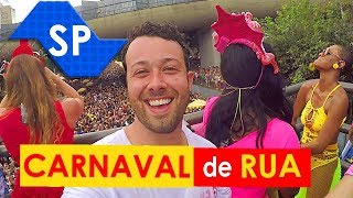 VALE A PENA curtir o CARNAVAL DE RUA de São Paulo [upl. by Candyce]