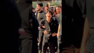 Arbaeen Walk humaliwalay Karbala imamhussain trending viralvideo viralshorts trendingshorts [upl. by Clougher37]