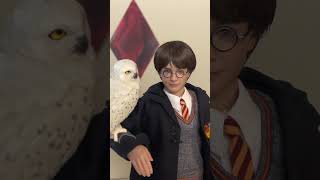 INART HARRY POTTER HARRY POTTER amp THE SORCERERS STONE NEW FIGURE PREVIEW inart hottoys [upl. by Beth]