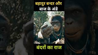 बहादुर बंदर और बाज़ के अंडे shorts viral [upl. by Leonteen1]