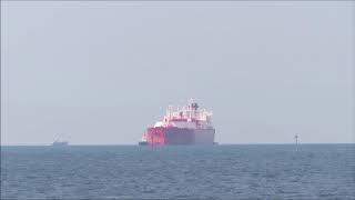 SEVILLA KNUTSEN 入港 LNGタンカーLiquefied Natural Gas Tanker [upl. by Nagear]