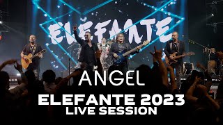 Angel ELEFANTE 2023 Live Session [upl. by Babbette784]