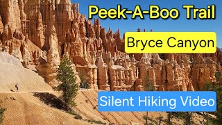 PeekABoo Hike Bryce Canyon National Park hiking hikingadventures nationpark [upl. by Vasta]