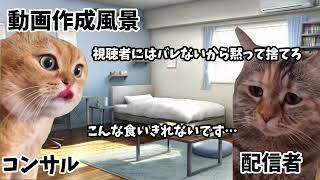 コンサルにチャンネルを乗っ取られた配信者の話【猫ミーム】 [upl. by Nnylimaj]