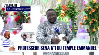 ENSEIGNEMENT DU PROFESSEUR SENA N°1 THÈME  PARABOLE DE LA FONDATION [upl. by Enneirb]