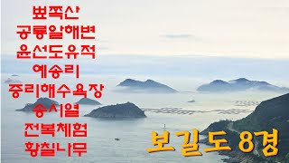 보길도 추천 8경  뾰쪽산  공룡알  윤선도  세연정  예송리  중리  해수욕장  송시열 글씐바위  황칠나무  전복 [upl. by Adelheid]