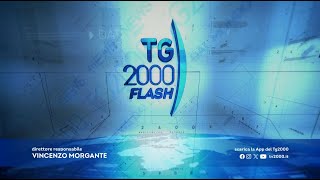 TG2000 2 ottobre 2024 – Ore 830 [upl. by Eiramrefinnej]