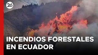 Incendios forestales en Ecuador [upl. by Nnaaihtnyc229]