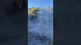 Bubbling mud  Rotorua New Zealand geothermal asmr [upl. by Michaeline]