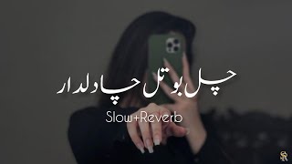 Chal Botal Cha Dildar Slow Reverb new Song Lofi Remix slowreverb Sariaki Song [upl. by Nicolette779]