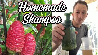 How To Make Homemade Shampoo From Pine Cone Ginger Plant Shampoo Ginger [upl. by Giguere307]