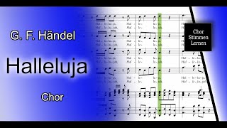 Halleluja G F Händel – alle Stimmen Chor  all voices choir [upl. by Gere]