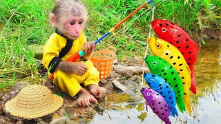 Bin Bon duck Monkey Baby Kittens Puppy Goes Koi Cat And swims Rabbits Animals Eats Egg Muckbang Asmr [upl. by Lantz]