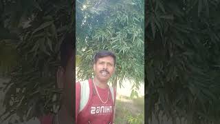 Charanon dhorite diyo go amare song bollywood [upl. by Nosduj]