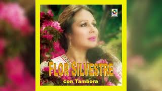 Flor Silvestre  Mi Destino Fue Quererte Visualizador Oficial [upl. by Maupin]