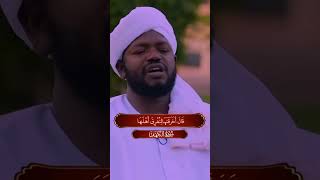 Sheikh Noreen Mohammed AlSiddiq best qari ever SubhanAllah what a beautiful recitation [upl. by Dorraj]