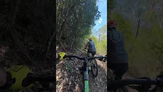 Loam steeps mountainbiking [upl. by Arola839]