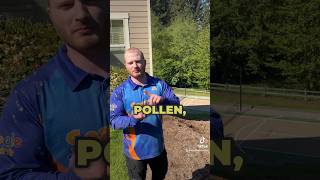 Sport Court Soft Wash in Seattle  Property Clean Up roofcleaning [upl. by Shaikh416]