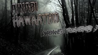 AJNABI  HAWAAYEIN  SlowedReverb [upl. by Niryt]