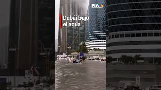 ¡DUBÁI BAJO EL AGUA  Las fuertes lluvias han inundado todo a su paso en los Emiratos Árabes Unidos [upl. by Ellainad756]