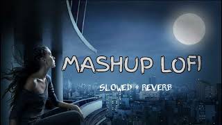 Hindi lofi mashup song  slowed and reverb  PM MUSIC OFFICIAL [upl. by Leamse240]