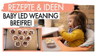 BEIKOST I BABY LED WEANING amp BREIFREI REZEPTE amp IDEEN I EILEENA [upl. by Nosbig]