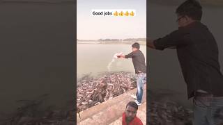 Fishing love status trending fishing love fishing vlog song [upl. by Leicam194]