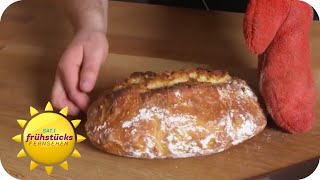 Selbstgebackenes Brot Einfach und mit wenigen Zutaten  SAT1 Frühstücksfernsehen [upl. by Leanahtan]