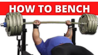 The ULTIMATE Bench Press Tutorial Feat Julius Maddox [upl. by Lamoree127]