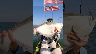 Summer Flounder catch and cook jigfishing fishing flounder [upl. by Demaria871]