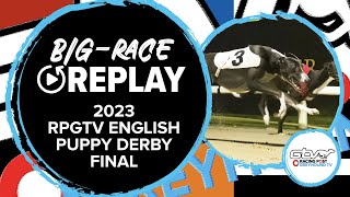 2023 RPGTV English Puppy Derby  King Memphis  Greyhound Replays  2023 Big Finals [upl. by Hi]