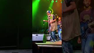 Winston Rodney OD live in zimbabwe burningspear reggaeton reggaemusic rastafarian [upl. by Everara489]