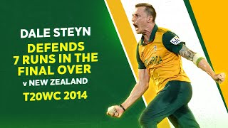 Dale Steyns stirring spell stuns New Zealand  T20WC 2014 [upl. by Narat]