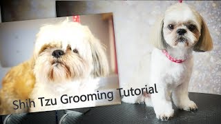 PetGroooming  Shih Tzu Grooming from start to finish 91 [upl. by Bathsheb]