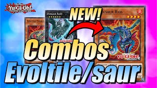 EVOLUTION CONTINUES  EVOLTILE EVOLSAUR OGDOADIC COMBOS  POST DUELIST NEXUS  YuGiOh [upl. by Itnavart]