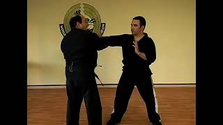 The Five Swords Kenpo Karate Technique [upl. by Ahslek]