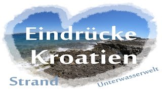 Kroatien  Unterwasserwelt  Aquarium Pula  Strand Sommer 2016  Back Lounge [upl. by Karna]