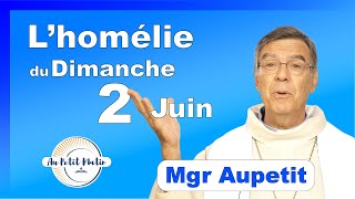 Évangile et homélie du Dimanche 2 Juin  Avec Mgr Aupetit [upl. by Honeyman347]