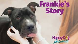 Mite Avenge® Mange Treatment – Frankies Story [upl. by Esirahs]