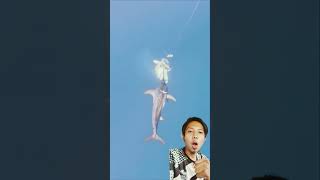 Massive Swordfish Strikes Underwater Unbelievable Octopus Bait Attack fishing amazingfishing [upl. by Acinoryt]